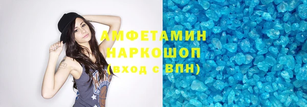 шишки Новодвинск