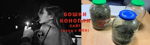 шишки Новокубанск