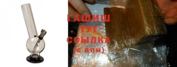 шишки Новодвинск