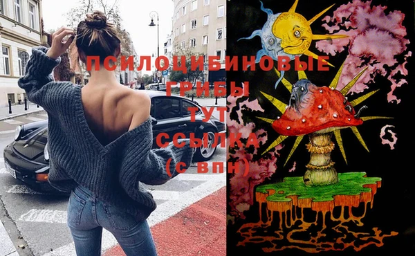 эйфоретик Новозыбков