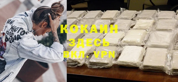 шишки Новодвинск