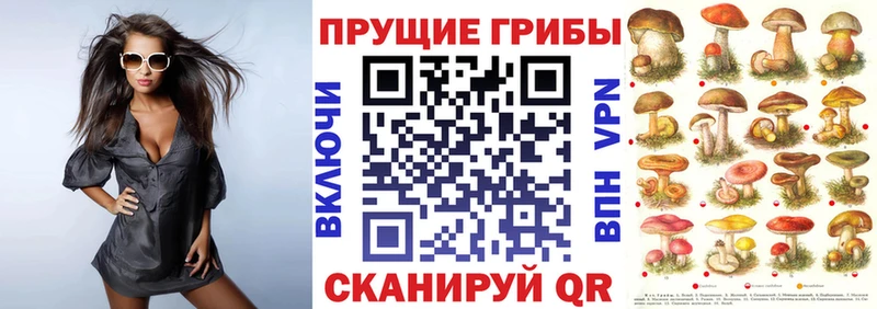 Галлюциногенные грибы Psilocybine cubensis  Татарск 