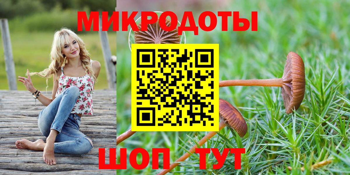 Псилоцибиновые грибы Psilocybine cubensis  Татарск 