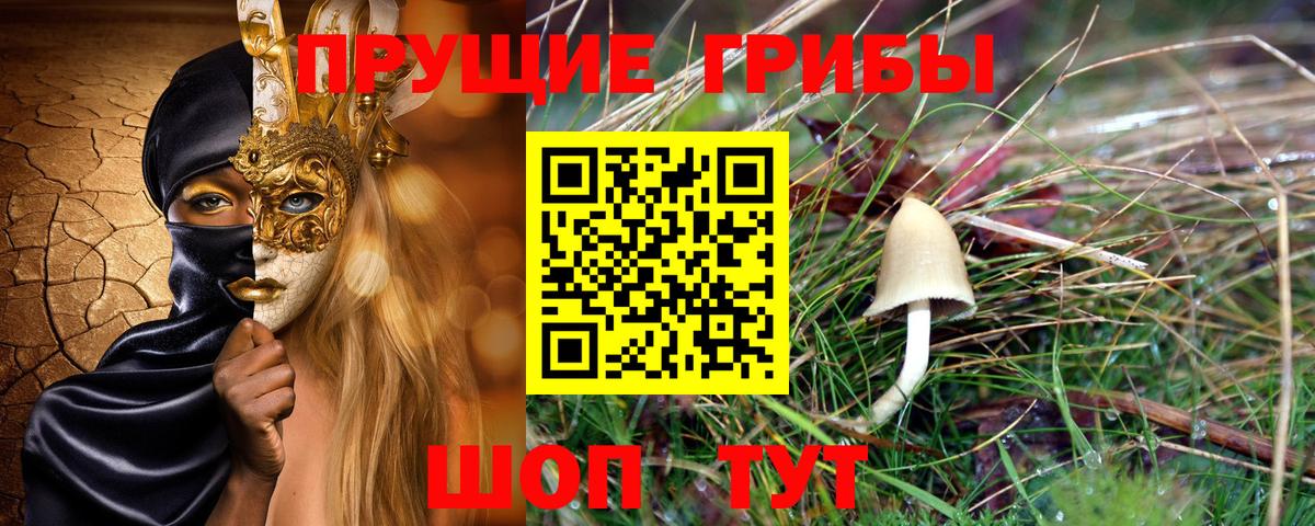 Псилоцибиновые грибы ЛСД Татарск