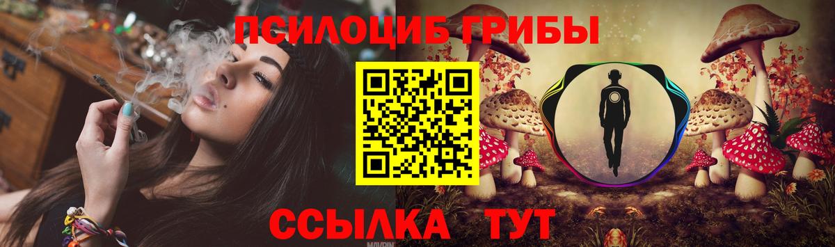 Псилоцибиновые грибы мицелий  Вход с VPN  Татарск 